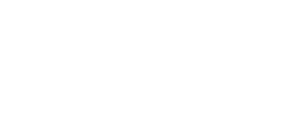 рпс-электр-мини